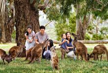 克莱兰德野生动物园景点图片