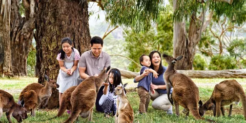 克萊蘭德野生動物園