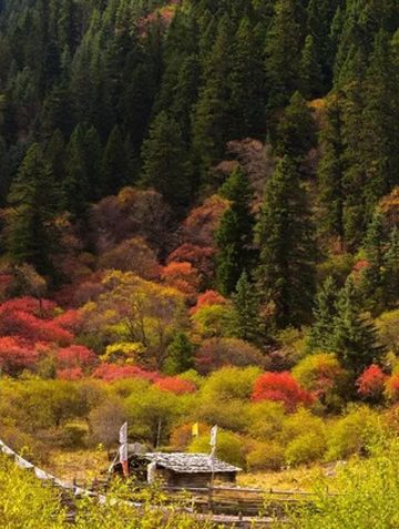 争创国家全域旅游示范区 | 你要写阿坝州的秋天，就不能只写秋天