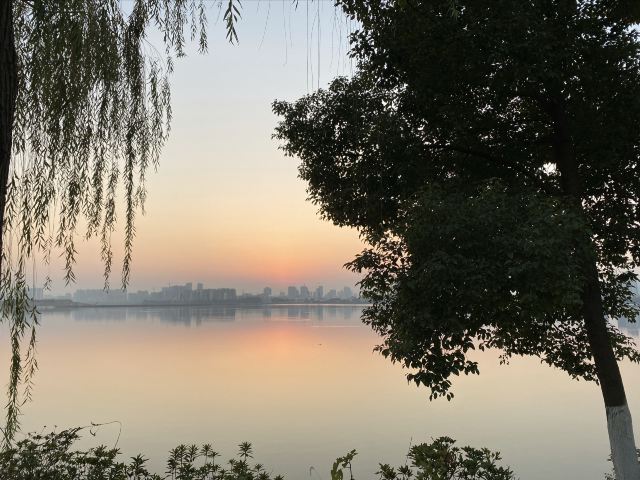 艾溪湖森林湿地公园旅行图片 3