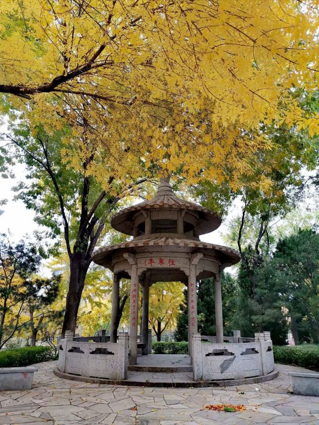 玲珑公园旅行图片 3