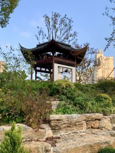 和平公园-上海-霞光升起