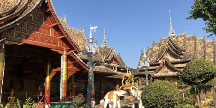 西雙版納傣族園-孔雀園