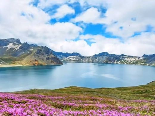高山花园