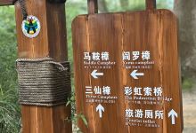 古樟林风景区景点图片