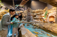 Zoolung Zoolung室内萌宠乐园(SEOUL TIMES SQUARE分店)-首尔