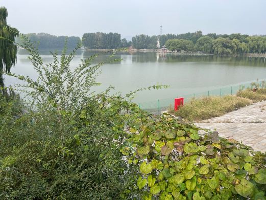 南阳湖公园