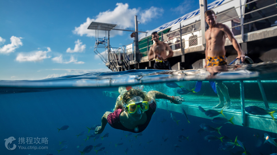 Sunlover Reef Cruises