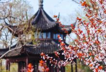 拙政园景点图片