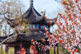 3-Day Suzhou Tour: Immerse in Ancient Suzhou, Jiangnan's Scenic Beauty