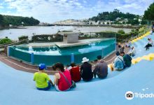 L'Aquashow景点图片
