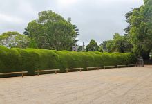 Ashcombe Maze & Lavender Gardens景点图片