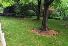 崴玉公园景点图片