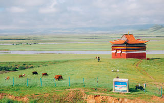 八月若尔盖·去赴一场草原之约