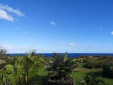复活节岛-复活节岛-一只胖腊肠