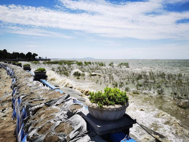 巢湖湿地旅行图片 1