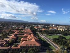 斯坦福大学-斯坦福-西溪老翁