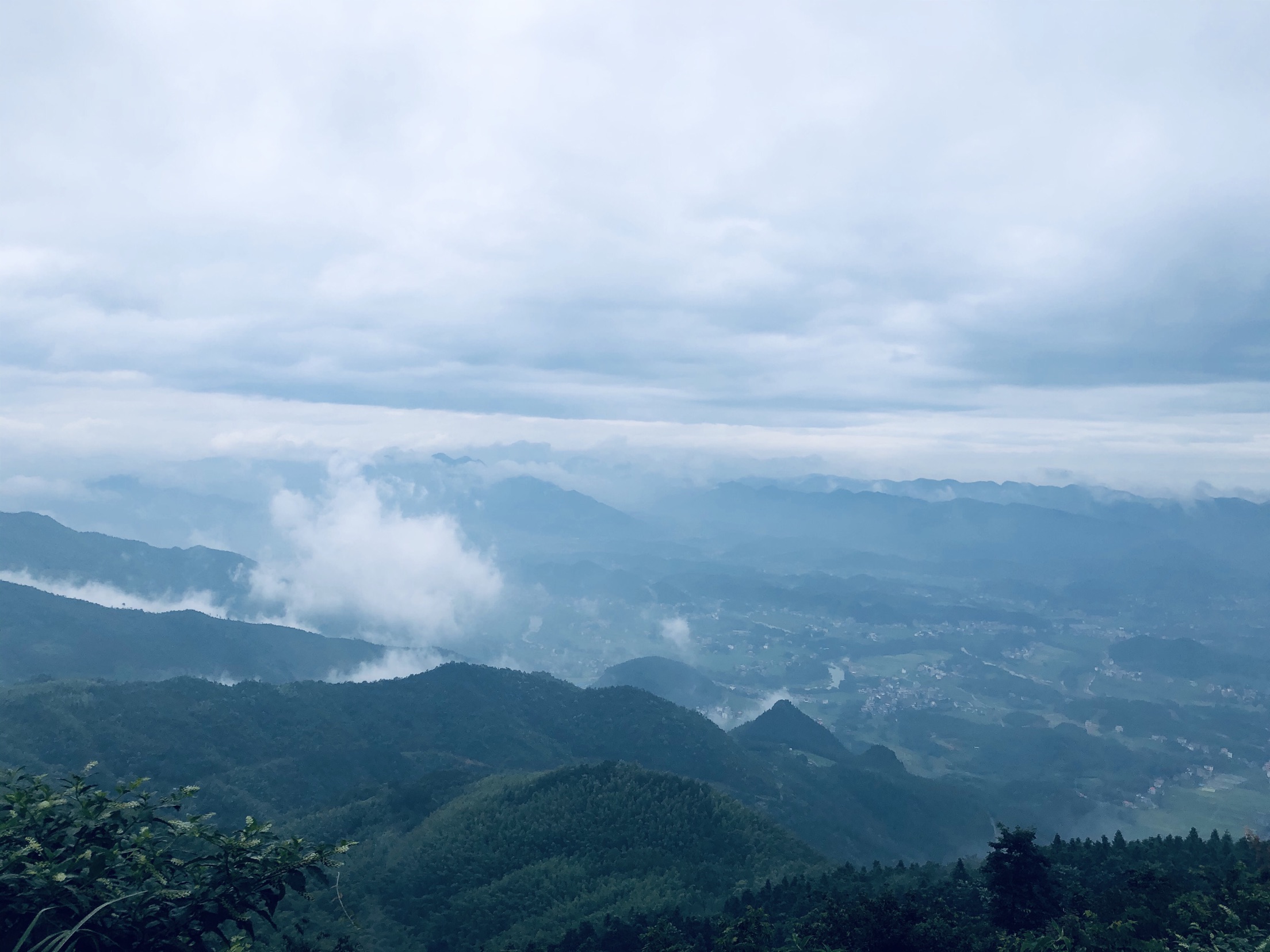 大东山林场