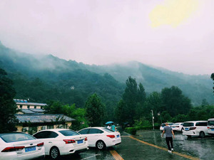 神灵寨游记图文-万亩竹海——神灵寨