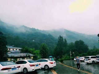 万亩竹海——神灵寨
