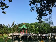 革命公园-西安-linglizi