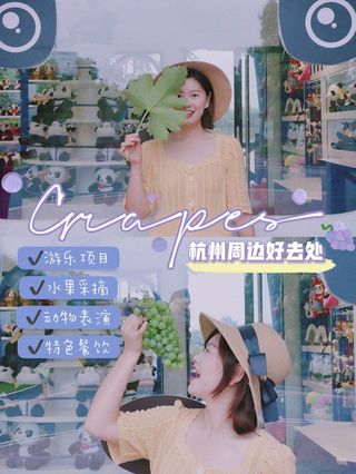 这儿又可以玩又可以采摘水果，强烈安利！