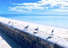 Mornington Peninsula National Park-Flinders-小凌60