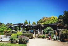 游览瓦勒蒂娜薰衣草农场景点图片