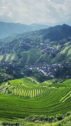 龙脊梯田风景名胜区-金坑梯田-龙胜-汪汪汪汪球