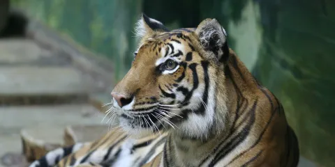 南海動物園