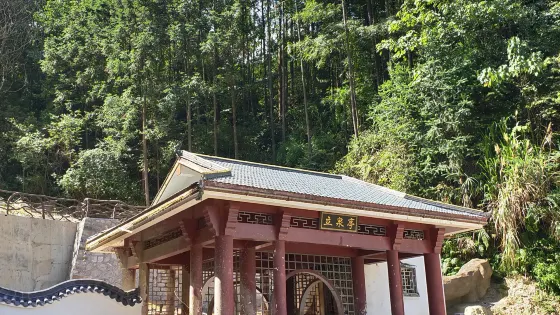福建三明仙人谷國家森林公園
