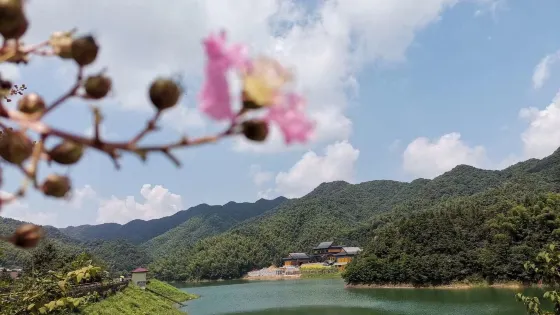 道吾山