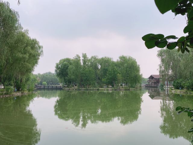仰山公园旅行图片 2