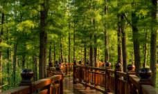 潘安湖国家湿地公园-徐州-LZG0125