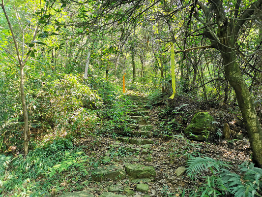 杭州登山线路之十三:东坞山村-豆腐皮古道-午潮山国家森林公园-白龙潭-龙门坎村行记