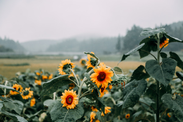 九月,遇见不一样的贵阳