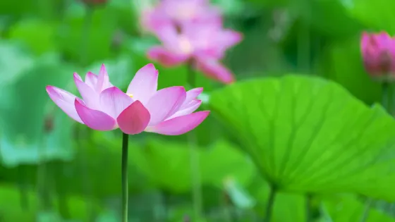 人民公園