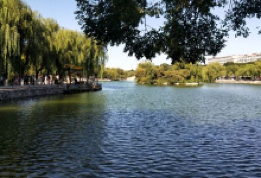 宣化人民公园景点图片