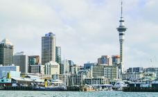 高架桥港-Auckland Central-zhulei831230