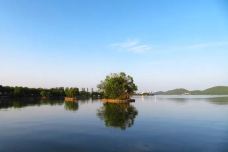 滨湖公园-徐州-独特的火龙草