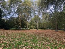 圣詹姆斯公园-伦敦-萱草1988