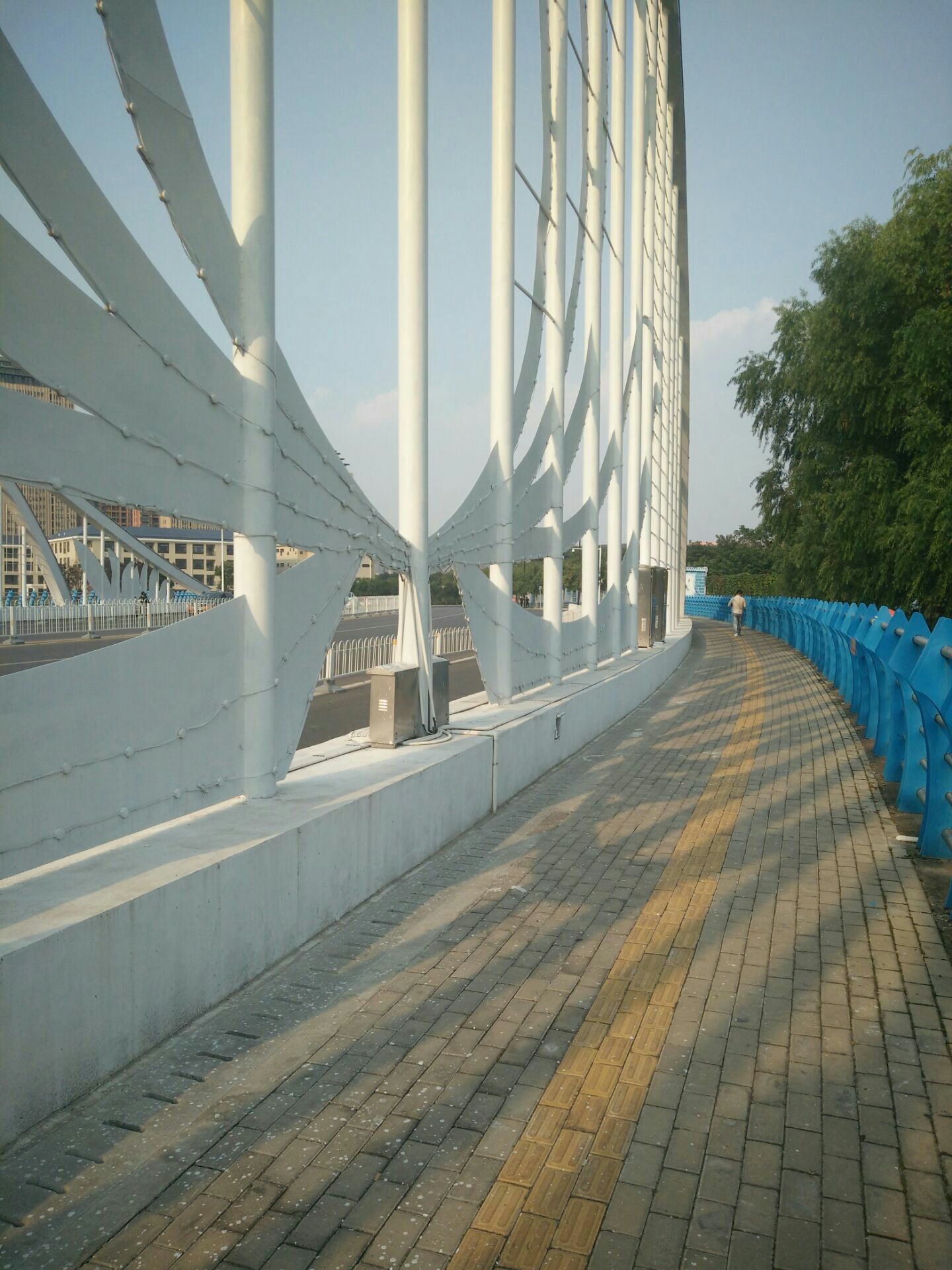 杨铭宇黄焖鸡米饭(通许总店)餐厅图片