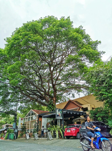 小清新之宁曼路--何以解忧