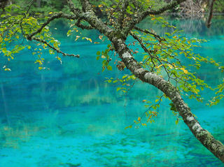 初秋，与童话九寨的浪漫之约（4天3晚游玩详细攻略）