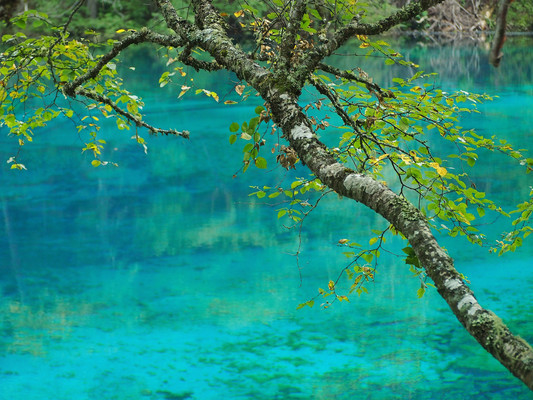 初秋，与童话九寨的浪漫之约（4天3晚游玩详细攻略）