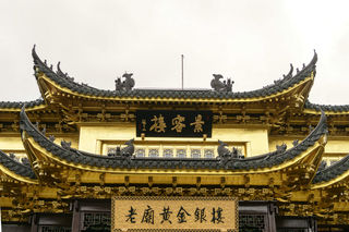 黄金“好运树”,能量满满“象”上而生