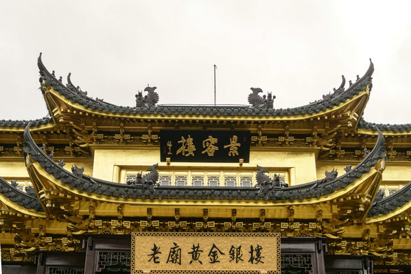 黄金“好运树”,能量满满“象”上而生