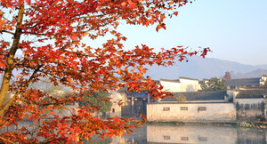 徽州古城/歙县游记图文-徽州人文山水经典自驾路线，串起安徽江西6县市，秋景居全国前列