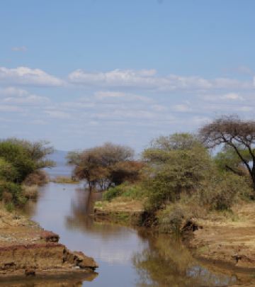 曼雅拉湖国家公园游记图文-坦桑尼亚猎游记 4- 马尼亚拉湖