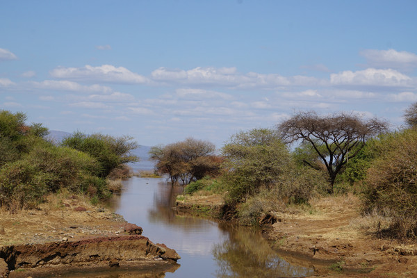 坦桑尼亚猎游记 4- 马尼亚拉湖